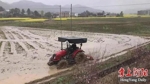 田间地头农机忙，衡阳春耕正当时——工程机械及配件的支撑力量